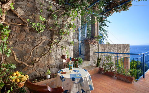 Sea Scent: Blue, Flowerpot, Houseplant, Balcony, Floral Design, Floristry