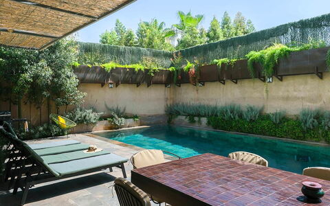 Villa Habiba: Swimming Pool, Resort, Garden, Backyard, Eco Hotel, Outdoor Furniture, Landscaping, Water Feature, Courtyard, Hacienda