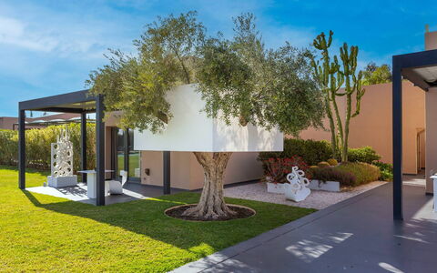 Villa Malika: Shrub, Garden, Shade, Landscaping, Woody Plant, Yard, Backyard, Eco Hotel, Lawn