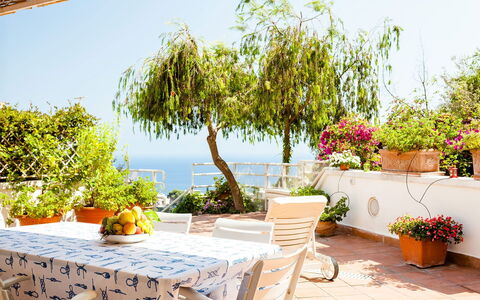 Casa Dorothea 1: Flower, Furniture, Flowerpot, Table, Chair, Houseplant, Balcony, Outdoor Furniture, Outdoor Table