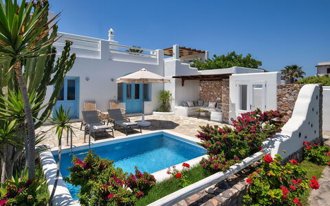 Guest House Zephyros: Blue, Resort, Flowerpot, Swimming Pool, Houseplant, Estate, Design, Villa, Shade, Landscaping