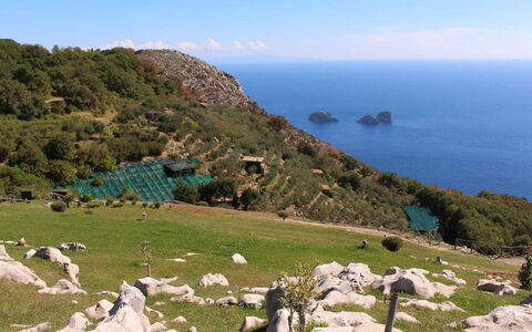 The Sea Farmhouse: Rock, Sea, Terrain, Coastal And Oceanic Landforms, Coast, Ocean, Hill Station, Promontory, Headland