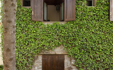 The Sea Farmhouse: Wall, Green, Shrub, Spring, Garden, Stone Wall, Shade, Hedge, Home Door
