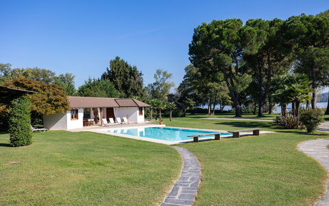 Villa Brin: Swimming Pool, Residential Area, House, Home, Shade, Resort, Farmhouse, Estate, Cottage, Garden