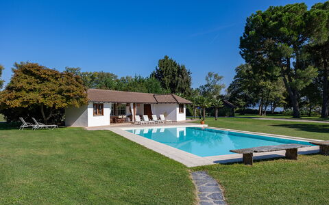 Villa Brin: Swimming Pool, House, Home, Residential Area, Cottage, Farmhouse, Shade, Roof, Estate, Resort
