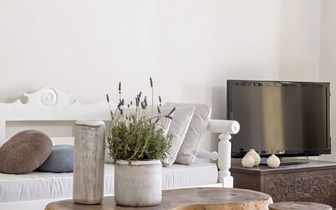 Campani Villa: Furniture, Wood, Throw Pillow, Living Room, Natural Material, Coffee Table, Pillow, Design, Cushion, Hardwood