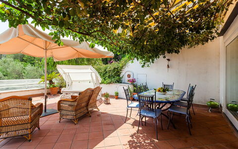 Casa Dorothea 3: Furniture, Flowerpot, Table, Chair, Outdoor Furniture, Houseplant, Outdoor Table, Garden, Kitchen & Dining Room Table, Patio