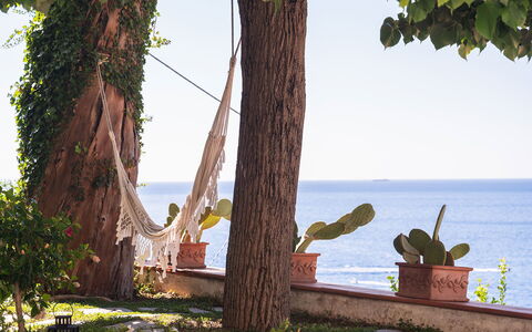 Casa Giardino: Blue, Sea, Ocean, Coastal And Oceanic Landforms, Coast, Trunk, Shade, Shore, Leisure, Beach