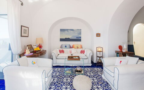 Casa Giardino: Blue, Furniture, Chair, Couch, Living Room, Houseplant, Flowerpot, Coffee Table, Carpet