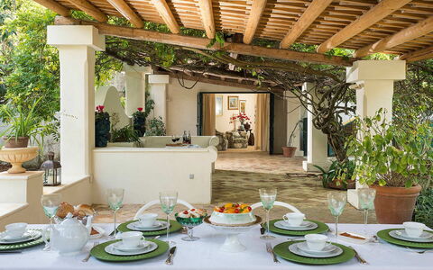 Green Villa: Furniture, Table, Interior Design, Chair, Flowerpot, Ceiling, Kitchen & Dining Room Table, Houseplant, Dining Room, Restaurant