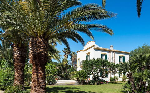 Green Villa: Blue, Tree, Vegetation, Woody Plant, Shade, Landscaping, Tropics
