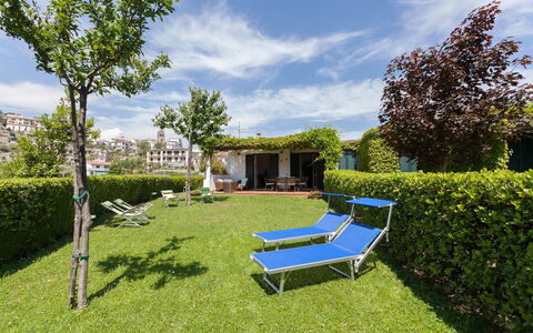 Il Giardino di Ravello: Shrub, Garden, Groundcover, Lawn, Hedge, Shade, Swimming Pool, Landscaping, Yard, Backyard
