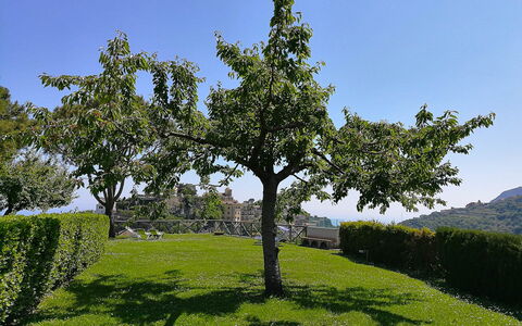 Il Giardino di Ravello: Leaf, Branch, Tree, Vegetation, Shrub, Plant Community, Spring, Trunk, Garden, Woody Plant