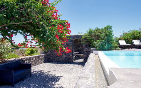 Mansion Kyani: Shrub, Flowerpot, Garden, Flagstone, Shade, Landscaping, Resort, Houseplant, Hacienda