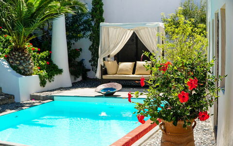 Mansion Sophia: Swimming Pool, Flowerpot, Resort, Eco Hotel, Outdoor Furniture, Houseplant, Shade, Leisure, Garden