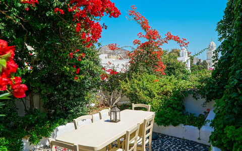 Mansion Sophia: Flower, Shrub, Flowerpot, Garden, Spring, Houseplant, Shade, Chair, Courtyard