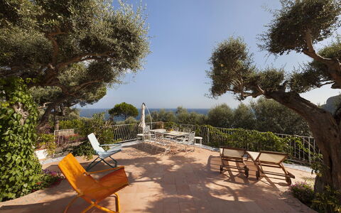 Villa Avion: Tree, Shrub, Landscape, Garden, Outdoor Furniture, Shade, Landscaping, Yard, Chair