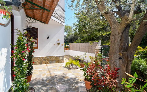 Villa del Mare: Flower, Flowerpot, Garden, Flagstone, Houseplant, Landscaping, Yard, Backyard, Hacienda