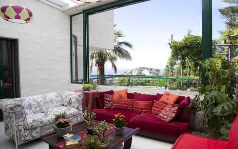 Villa Felicia: Furniture, Couch, Interior Design, Living Room, Table, Home, Flowerpot, Throw Pillow