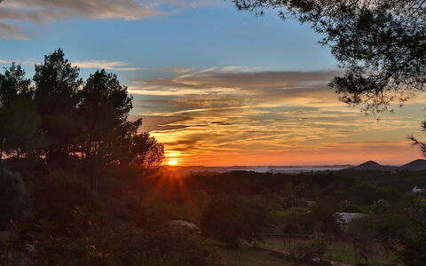 Villa Gold: Sky, Photograph, Nature, Afterglow, Branch, Leaf, Natural Environment, Sunset, Dusk, Beauty