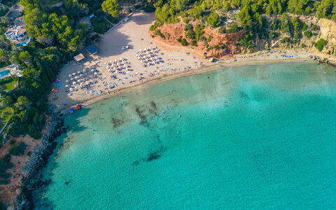 Villa Jardin: Coast, Beach, Sea, Coastal And Oceanic Landforms, Shore, Ocean, Bay, Caribbean, Tropics