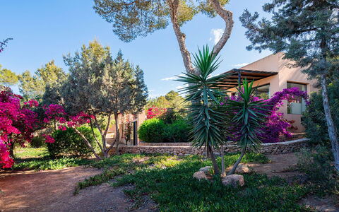 Villa Luanda: Flower, Vegetation, Shrub, Garden, Pink, Spring, Woody Plant, Landscaping, Botanical Garden, Shade