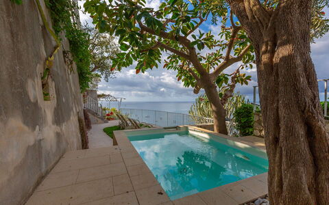 Villa Magnolia: Sea, Swimming Pool, Ocean, Coast, Resort, Leisure, Vacation, Shade, Tropics, Eco Hotel