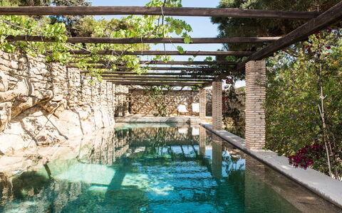 Villa Oasis: Natural Material, Water Feature, Stone Wall, Swimming Pool, Pergola
