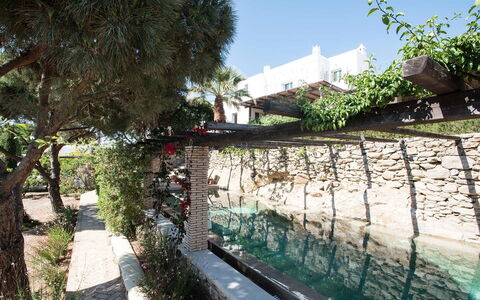 Villa Oasis: Garden, Shade, Landscaping, Backyard, Flagstone, Courtyard, Yard, Water Feature, Walkway, Swimming Pool