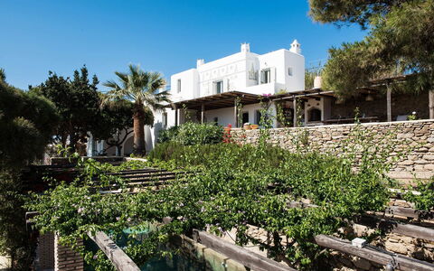 Villa Oasis: Shade, Resort, Landscaping, Balcony, Outdoor Furniture, Villa, Hacienda, Flowerpot, Backyard