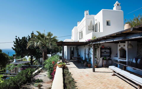 Villa Oasis: Flowerpot, Balcony, Houseplant, Chair, Resort, Villa, Eco Hotel, Hacienda, Outdoor Furniture
