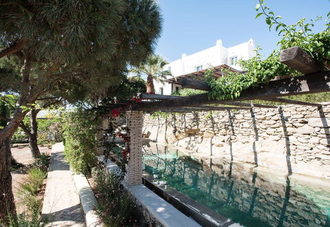 Villa Oasis: Garden, Shade, Landscaping, Backyard, Flagstone, Courtyard, Yard, Water Feature, Walkway, Swimming Pool
