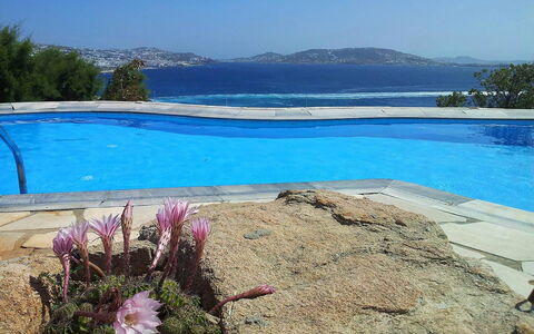 Villa Rose 1: Blue, Water, Swimming Pool, Outdoor Furniture, Resort, Coast, Tropics, Shade, Resort Town, Eco Hotel