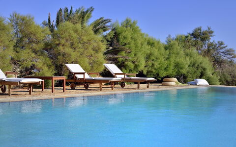 Villa Sesilia: Swimming Pool, Resort, Outdoor Furniture, Furniture, Chair, Eco Hotel, Sunlounger, Shade, Tropics, Umbrella