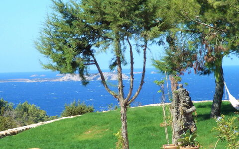 Villa Sun: Blue, Coastal And Oceanic Landforms, Sea, Coast, Ocean, Woody Plant, Shore, Tropics, Shade, Evergreen
