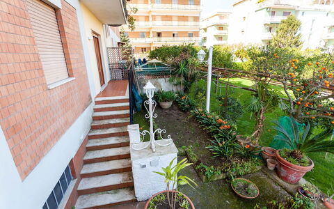 Casa Milena: Shrub, Garden, Flowerpot, Balcony, Yard, Landscaping, Houseplant, Hacienda, Courtyard