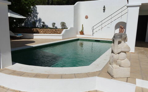 Villa Roxy: Composite Material, Concrete, Swimming Pool, Tile, Flagstone, Water Feature, Houseplant, Outdoor Furniture