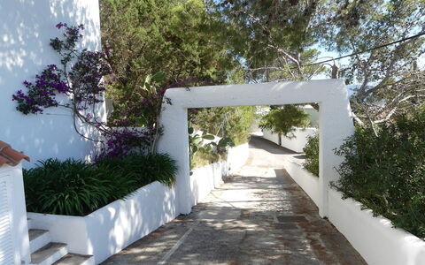 Villa Roxy: Shrub, Garden, Shade, Landscaping, Concrete, Design, Walkway, Hacienda, Backyard