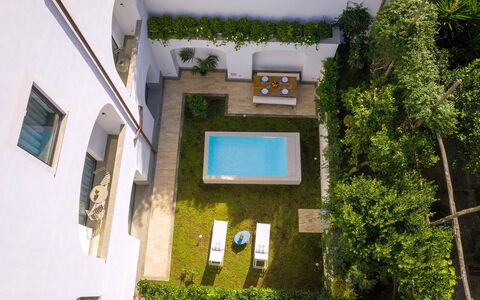 Jacaranda House: Apartment, Swimming Pool, Home, Courtyard, Estate, Design, Landscaping, Hotel, Yard, Backyard