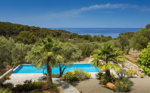 Villa Mallorca: Blue, Tropics, Coast, Swimming Pool, Resort, Bay, Eco Hotel, Caribbean