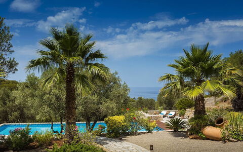 Villa Mallorca: Blue, Vegetation, Resort, Garden, Tropics, Eco Hotel, Shade, Landscaping, Swimming Pool