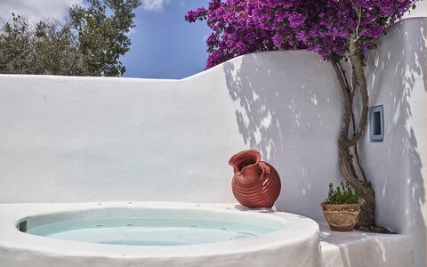 Villa Ivi: Flowerpot, Natural Material, Shade, Design, Outdoor Furniture, Houseplant, Bathtub, Plumbing Fixture, Swimming Pool, Ceramic