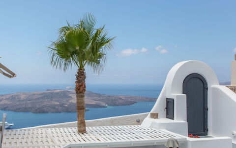 Mansion Orny: Chair, Villa, Design, Living Room, Houseplant, Stairs, Balcony, Penthouse Apartment