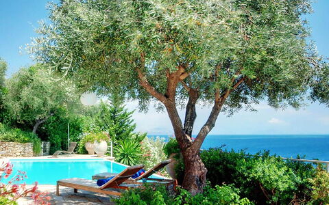 Villa Azzurra: Woody Plant, Garden, Shade, Landscaping, Outdoor Furniture
