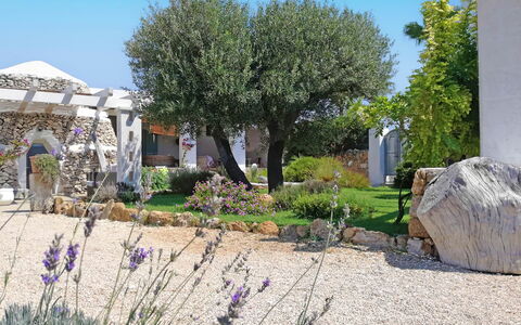 Villa la Rezza: Shrub, Garden, Groundcover, Landscaping, Yard, Shade, Backyard, Lawn, Design