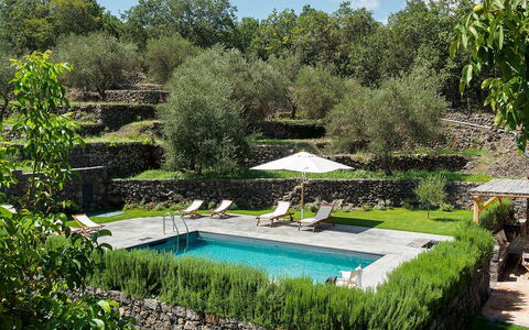 Villa Alcantara: Swimming Pool, Shrub, Garden, Resort, Backyard, Landscaping, Eco Hotel, Shade, Yard, Flagstone