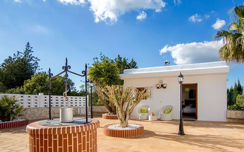 Villa Sabor: Flowerpot, Tile, Shade, Houseplant, Patio, Garden, Hacienda, Outdoor Furniture, Courtyard, Landscaping