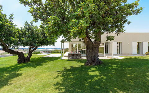 Green Hill: Home, Shade, Garden, Lawn, Estate, Landscaping, Yard, Park, Villa, Driveway