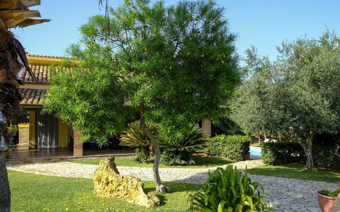 Villa Virna: Leaf, Shrub, Garden, Woody Plant, Shade, Backyard, Yard, Landscaping, Courtyard