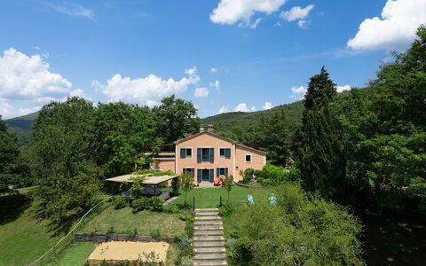 Villa la Foresta: Tree, Rural Area, Cottage, Hill Station, Estate, Plantation, Eco Hotel, Mountain Village, Farmhouse, Evergreen